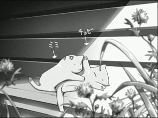 Kanojo to Kanojo no Neko - Lei e il suo gatto