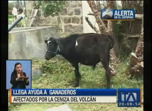 Llega ayuda a ganaderos afectados por el volcán Cotopaxi