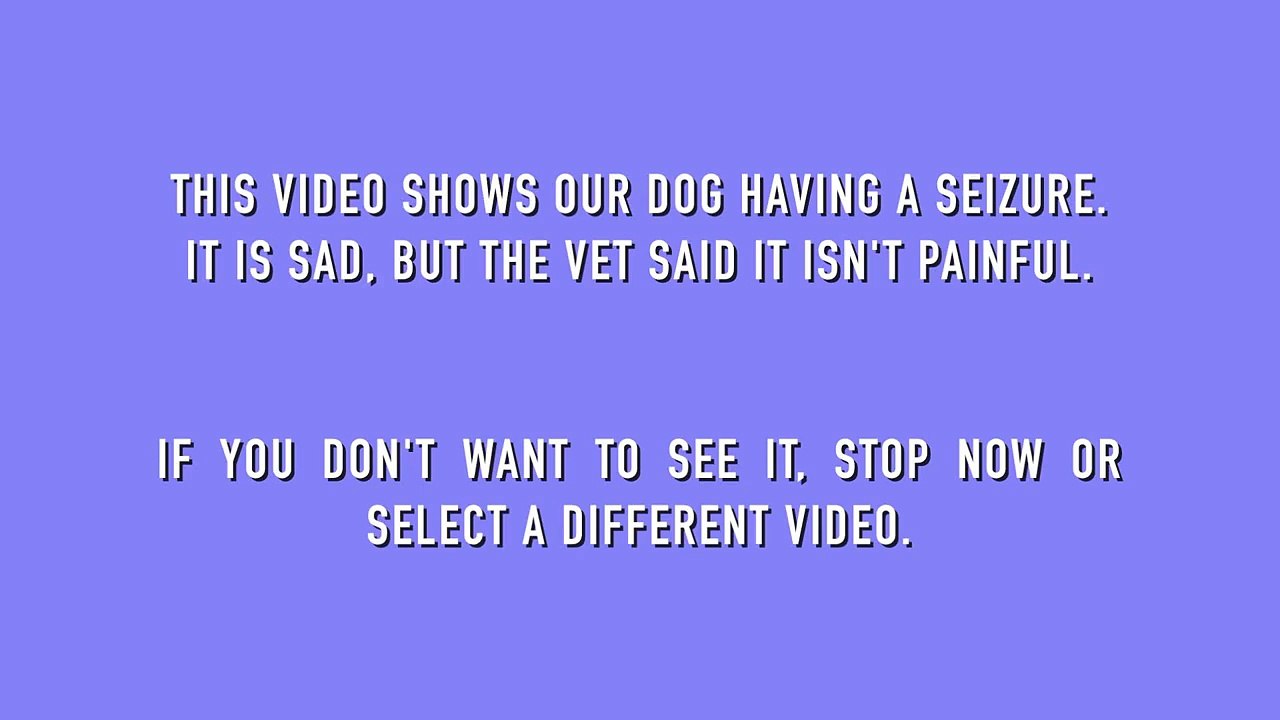 2014-07-22 - WARNING GRAPHIC - Our dog having a seizure; may be disturbing to some