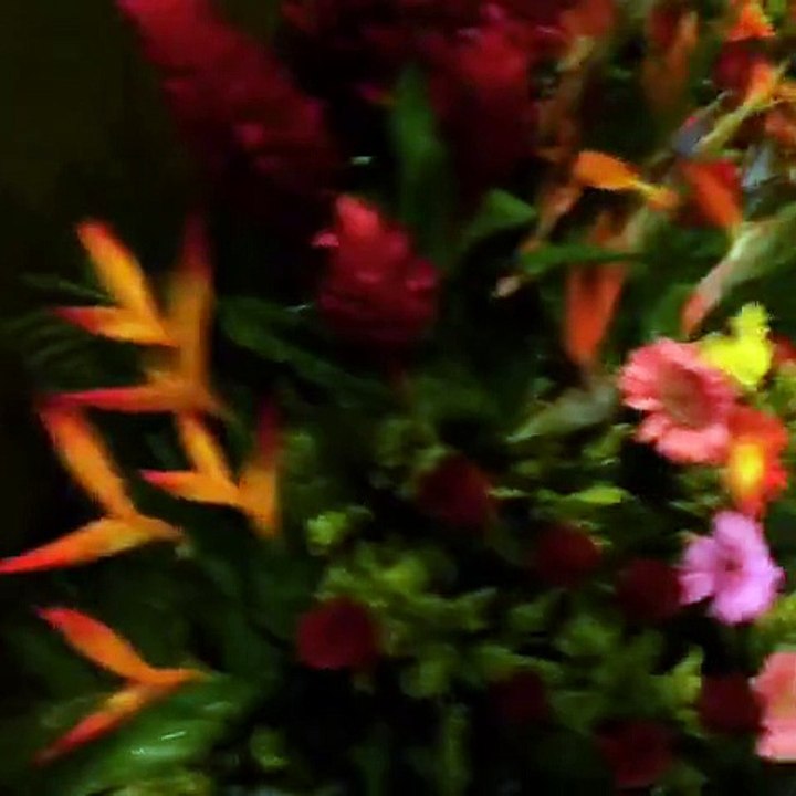 Rocío Higuera recibió "un camión de flores"