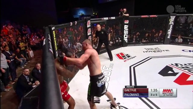 Who Ya Got?!? - Justin Gaethje vs. Luis Palomino 2 at WSOF 23