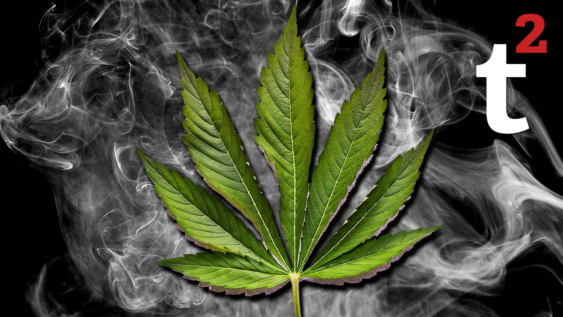 ⁣How Does Marijuana Work?
