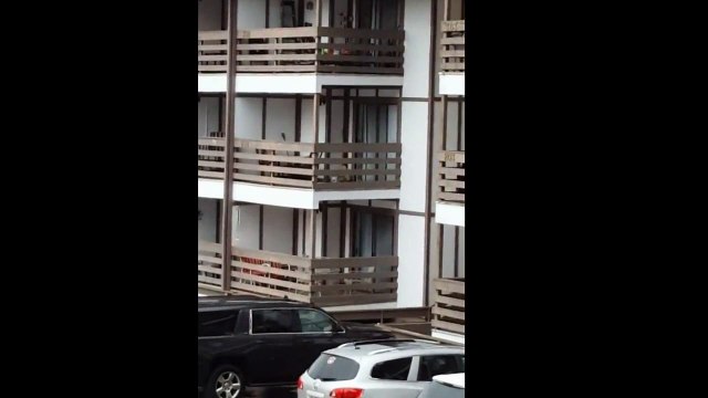 Медведь в США залез на балкон третьего этажа в поисках еды.