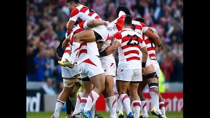 Reaction from Japan and South Africa camps after shock 'We are floating on air'