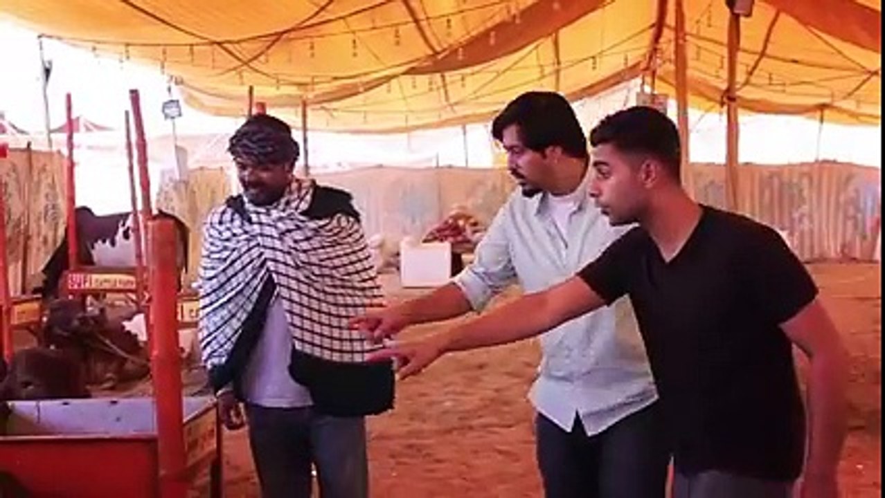 bakra eid funny video