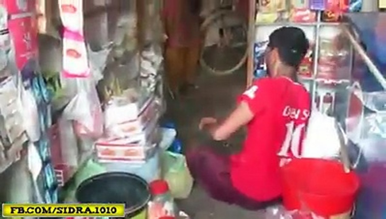 Most Funny video of animal .. Laught lol 2015 watch video online and enjoy