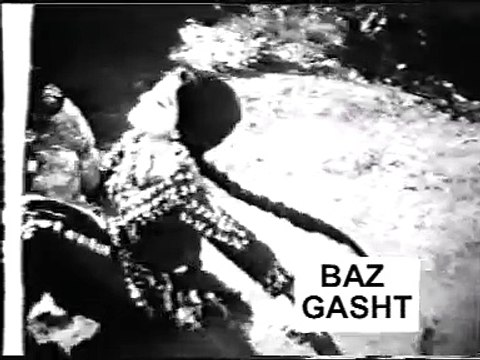 PULI WEY MEREY HAN DEYA - CHAN SAJNA - NOOR JAHAN