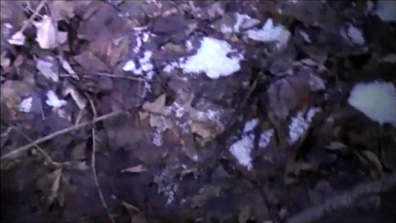 Bigfoot 911 Call Indiana Pennsylvania