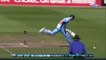 2 best runouts in cricket by Mathew wade and AB de villiers