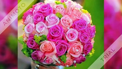 delhi online florist Best Florist Is Here