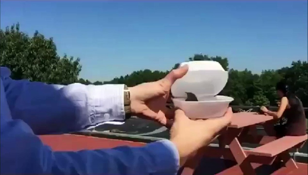 Worst bird rescue ever.... Hilarious FAIL