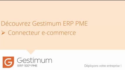 Découvrez Gestimum ERP PME - Connecteur e commerce