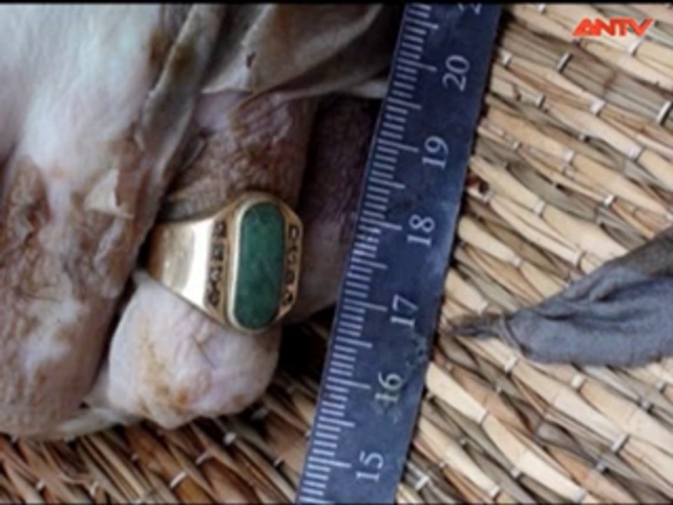 Hành Trình Phá Án-Án mạng trong đêm lạnh