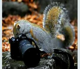 Digital Photography Tutorials