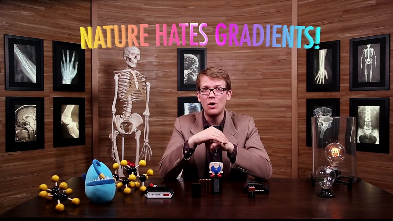 The Nervous System - Action Potential - Biology #2 Part 2