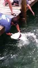 Somebody should have thrown that annoying woman in the water.