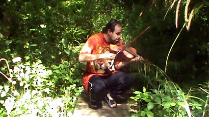 violon live HOBBIT Lord Of The Rings Ploumanac'h HD