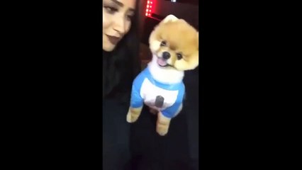 Shay Mitchell on her Snapchat September 17th, 2015.