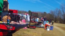 Flea Markets Exposed - Puppy Mill Dogs Being Sold