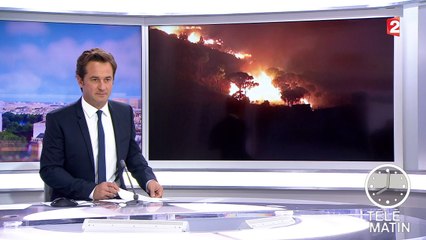 Pyrénées-Orientales : un violent feu de forêt fait une victime parmi les pompiers