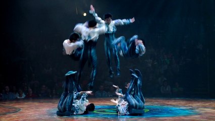 Cirque du soleil - Amaluna