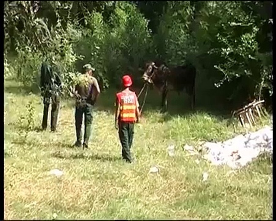 LOL , guyz must watch