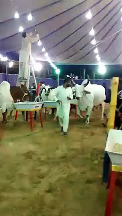 Thar ky Raja Sahab Tashreef laa rahay hainn...