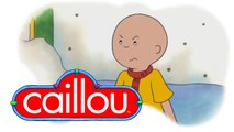 Caillou 201 - Star Light, Star Bright // All in a Day's Work // The Cat's Meow // Caillou In Space