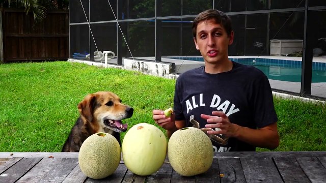 Making Casts By Pouring Molten Aluminum In Melons