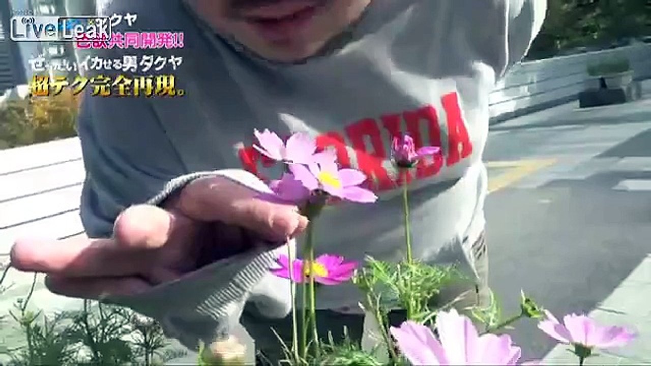 NSFW: Ever wanted a BJ from a chubby gay Japanese man-