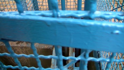 Transporter Bridge Middlesbrough