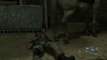 Horse defecates on Metal Gear Solid V Hero laying on the ground... But.. Why?!