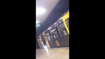 Army of crabs invade Newcastle Metro station