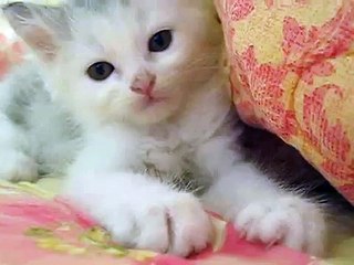 군포출장안마☇▷O1O↔2156↔4202◁☇수원출장안마Ⱥ《성남출장안마》ᏔFIRL