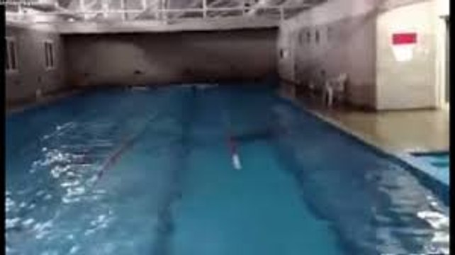 8.3 Chile Earthquake: Raw Footage from Different Cameras of Moment Quake Struck