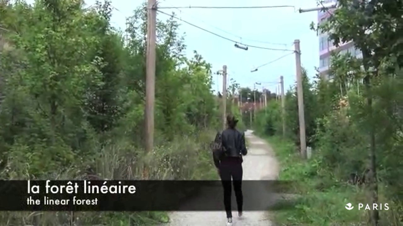 Balades écologiques à Paris : avez-vous l'appli ?