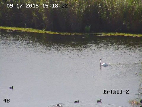 İğneada-Erikli Gölü