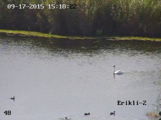 İğneada-Erikli Gölü