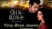 Tery Bina Jeena Full Song - Rahat Fateh Ali Khan - Bin Roye [2015]