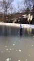 Vidéo drôle de fille de tomber dans le lac gelé