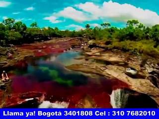 TOUR CAÑO CRISTALES