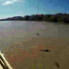 L'impressionnant saut hors de l'eau d'un crocodile