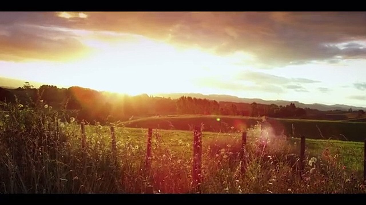videoplayback