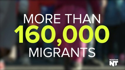 They're Not Just Migrants