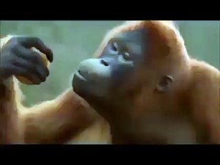 VID-20150124-WA0001.mp4