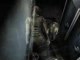 Silent Hill Origins : In game 2 - PSP