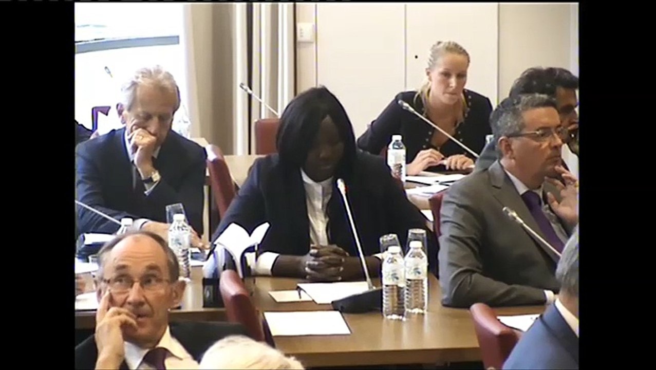 Seybah Dagoma - Audition de Laurent Fabius, ministre des Affaires étrangères et du Développement international - 15 septembre 2015