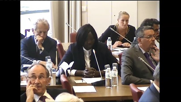 Seybah Dagoma - Audition de Laurent Fabius, ministre des Affaires étrangères et du Développement international - 15 septembre 2015