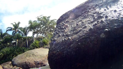 Caminhada nas areias, ondas e mares de Ubatuba, SP, Brasil, Agosto de 2015