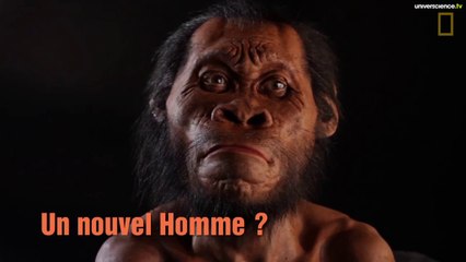 Homo naledi, le nouvel hominidé